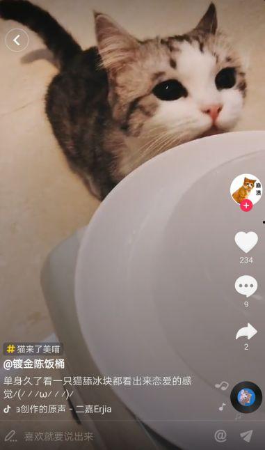 吃瓜猫抖音网红,抖音网红的美食之旅